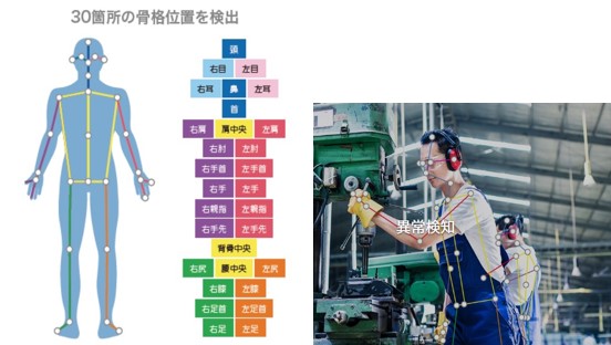 AI骨格検知システム